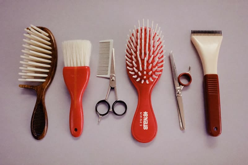 Grooming brushes, combs and clippers laid out on a pastel surface